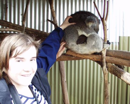 Australia Koala-04-09-30-018