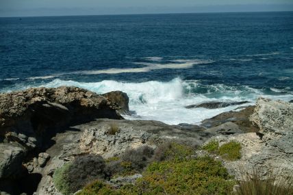 Australia Kangarooh Island-04-10-01-005