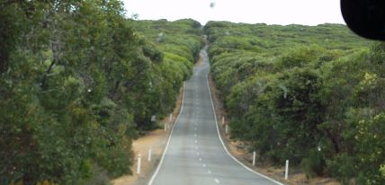 Australia Kangarooh Island-10-01-016