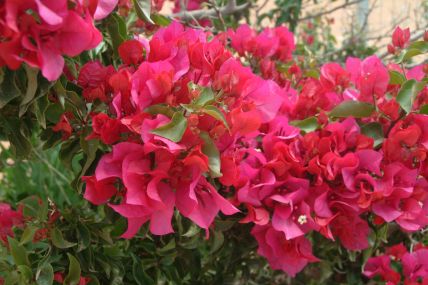 Australia Outback-Tour-04-10-04-009